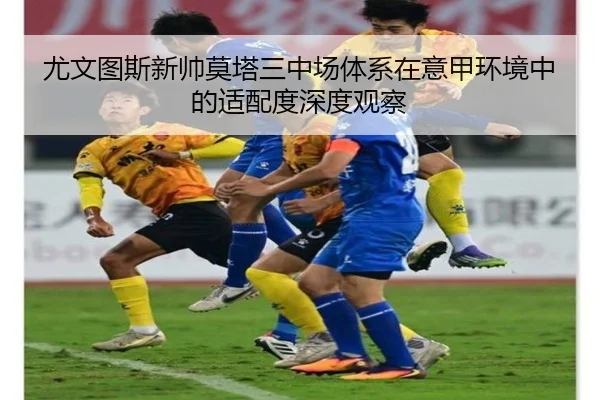 img_1780944793943_291_1_922.jpg
